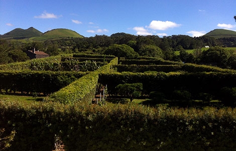 Actividades agrícolas em São Miguel, Açores