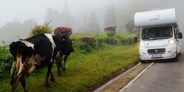 ANC Azores Holidays